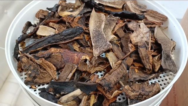 Что я посеела в феврале... смотреть онлайн