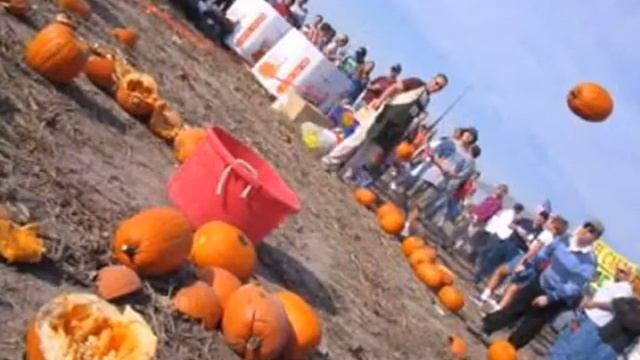 Stop The Pumpkin Invasion смотреть онлайн