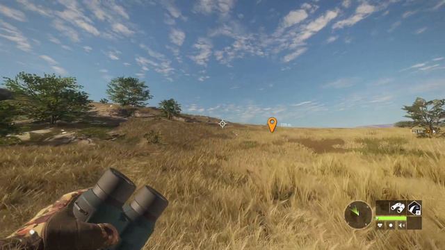 Almost vanilla Call of the Wild - Savanna Hunter Pt. 609 смотреть онлайн