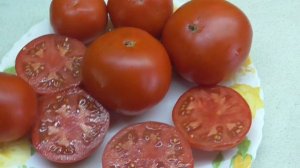 ТОМАТ ДЖИНА ИДЕАЛЕН ДЛЯ ТОРГОВЛИ! Ольга Чернова.