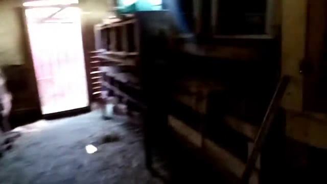 Кролики ризен, ждём пополнения смотреть онлайн