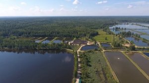 Рыбхоз Клинский, участок новосёлки, Элитный пруд.