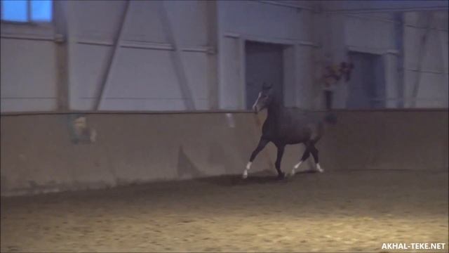 Аргентум смотреть онлайн