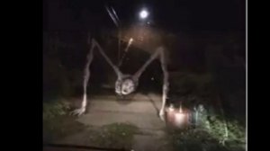 Существо с просёлочной дороги. Country road creature. Внешний вид, способности, личность.