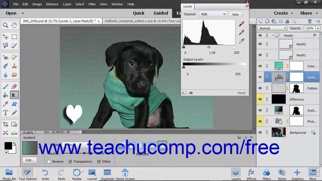 Photoshop Elements 2019 Tutorial Adjustment Layers and Fill Layers Adobe Training смотреть онлайн