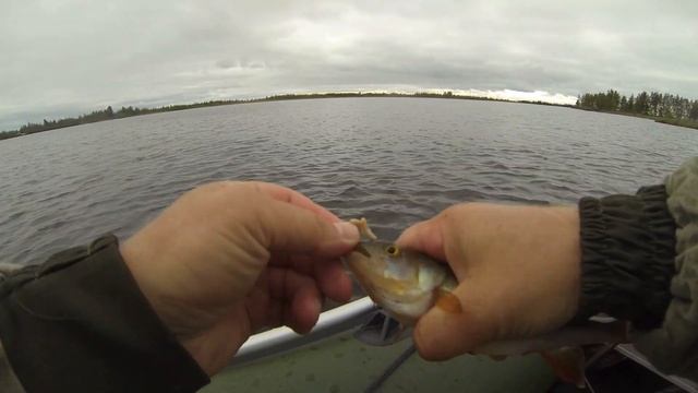 ВЕДРО ПЛОТВЫ С ЛОДКИ В ОТВЕС НА МОРМЫШКУ ! смотреть онлайн