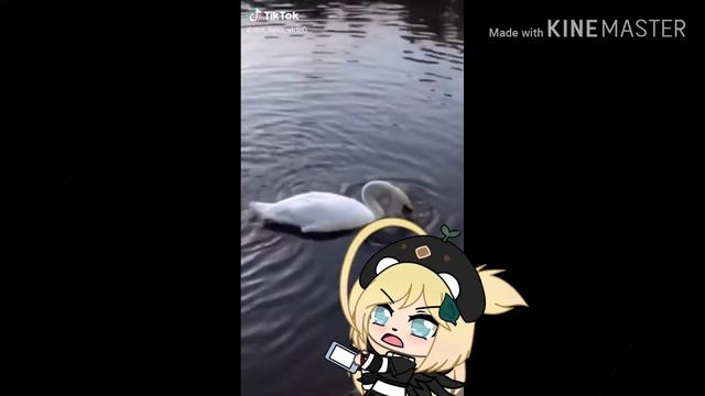 Лебедь без головы смотреть онлайн