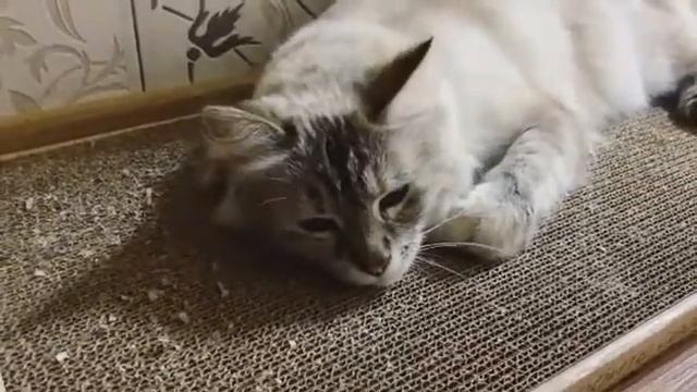 Очень сильно нравится!❤ смотреть онлайн