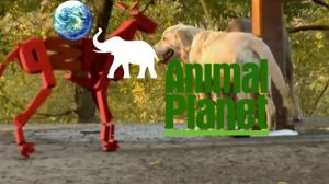 7-Animal Planet Spoof Pixar Lamp Luxo Jr Logo (Verzion 2)