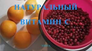 Заготовка из клюквы! Натуральный витамин С, легко и просто! Cranberry billet! Natural Vitamin C