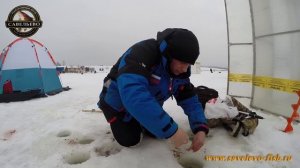 Whitefish ice fishing to Savelevo. Рыбалка на сига в Савельево 10 февраля 2014 года