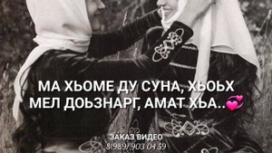 Сан дика йиша?Дала декъала йойла