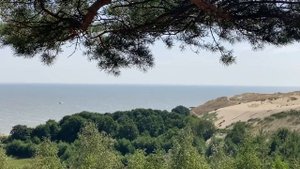 ЖЕНА ПОШЛА НАЛЕВО И СПОТКНУЛАСЬ. Истории из жизни. Жизненные рассказы