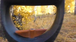 Сгоняли чутка поискать