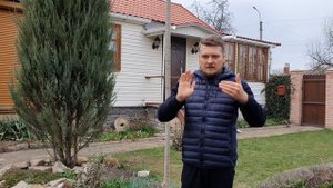 Можжевельник. Стрижём правильно. Весенняя формировка