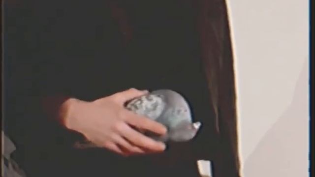 ГВИДОН ВИШНЕВСКИЙ «Как создать шедевр». Лапенко. смотреть онлайн