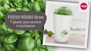 Горшок с колпаком HERBS Grow FRESH от EMSA - свежая зелень каждый день