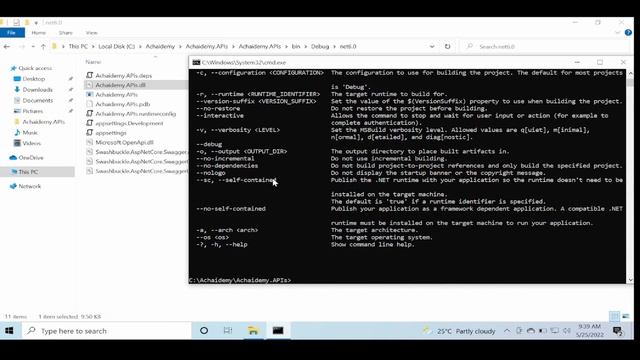 Dotnet CLI - Build, Test and Publish projects