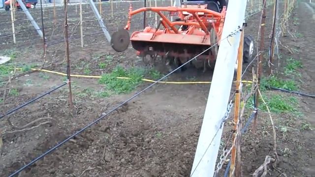 Рыхление почвы. Борьба с сорняками. апрель 18