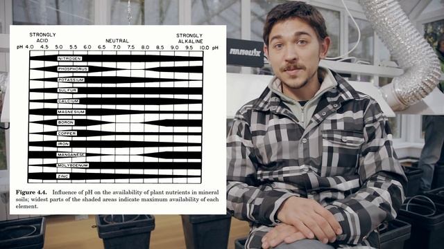 ДНЕВНИК МАНГРОВОЙ ТЕПЛИЦЫ Выпуск #4. Бамбалейло фитофильтр и про керамзит смотреть онлайн