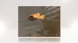 Жизнь все расставит по местам (красив стих)