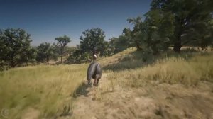 Playing as Legendary Black WOLF in Red Dead Redemption 2 PC