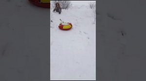 гуляем с мией на прогулке.