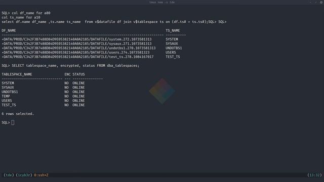 Oracle 19c Transparent Data Encryption TDE with Wallet смотреть онлайн