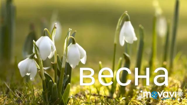 Почему же сменяются времена года смотреть онлайн