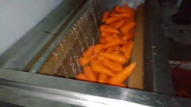 Очистка моркови от кожуры, промышленная Vega ST 1200 смотреть онлайн