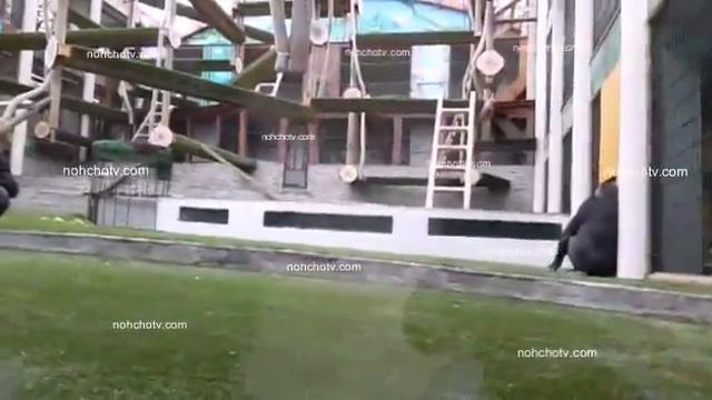 un gaurise sere diferament d'un faut erbe смотреть онлайн