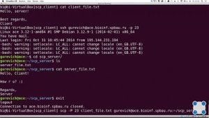Инструкции Linux - #33 урок. Копирование файлов на сервер и обратно