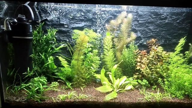 Установка дропчекера для СО2 смотреть онлайн