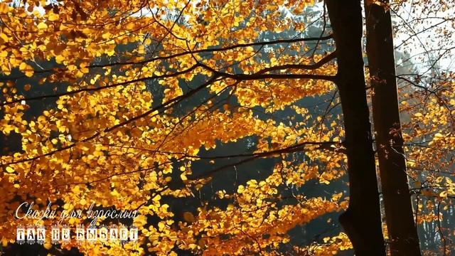 Бросил беременную девушку, а через много лет ради нее прогнал жену и сына на мороз смотреть онлайн