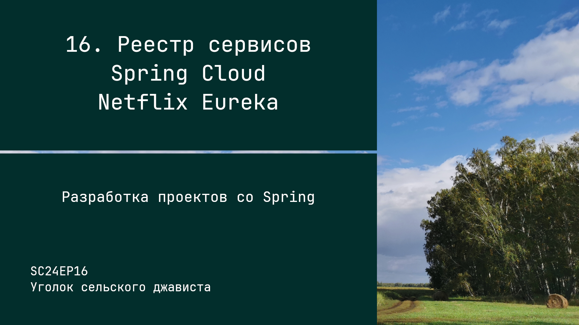 SC24EP16 Реестр сервисов Spring Cloud Netflix Eureka - Разработка проектов со Spring