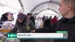 Стартовала сезонная продажа наваги. Почем рыба на Сахалине?