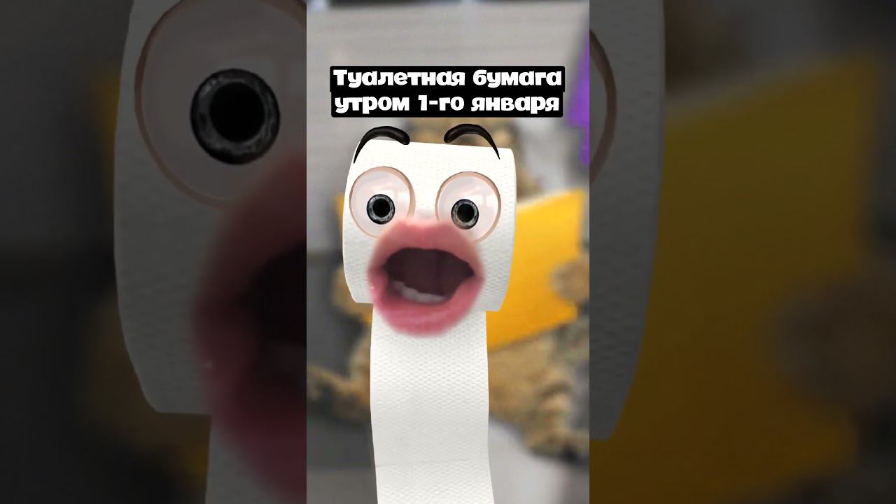 Туалетная бумага первого января #shorts смотреть онлайн