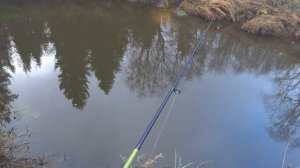 Прогулка со спиннингом по реке Ухра