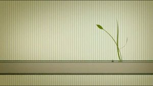 Хаторы. Настройка сердца.