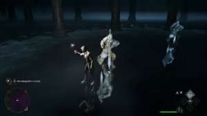 Хогвартс Наследие. Hogwarts Legacy. Играю на Nintendo