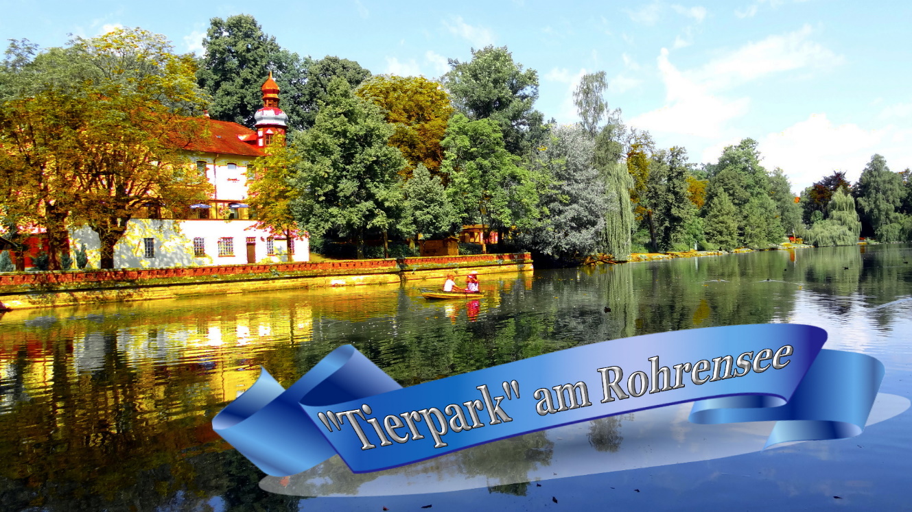 Bayreuth-Die schönsten Ausblicke über die Tierpark, /Schmetterling-Flamingos-pfau-Nandus/