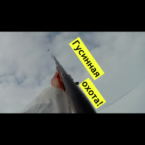 Гусиная охота на Таймыре.mp4