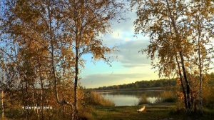 Звуки природы | Пение птиц | Звуки Леса, для релаксации, сна, Медитации, Relax 3 часа.