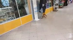 Новости. Савеловский Радиорынок