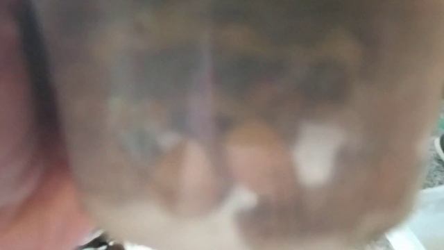 Полив и обзор орхидей 06.11.2022г.Часть 2.???