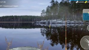 41) My Fishing World Сазан обыкновенный без прилова!?