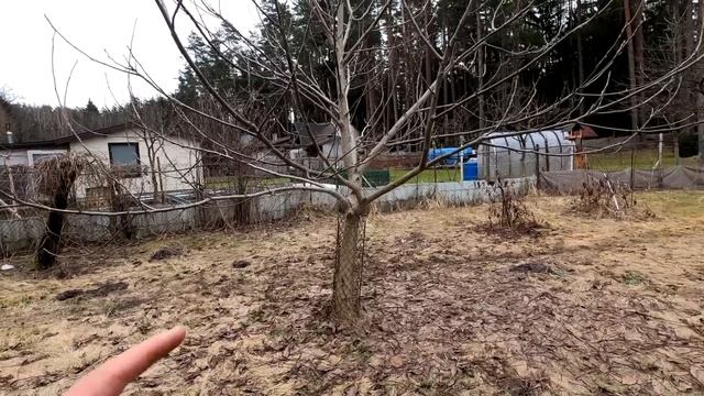 Приобрёл дачу.Обзор дачного участка 2023 смотреть онлайн