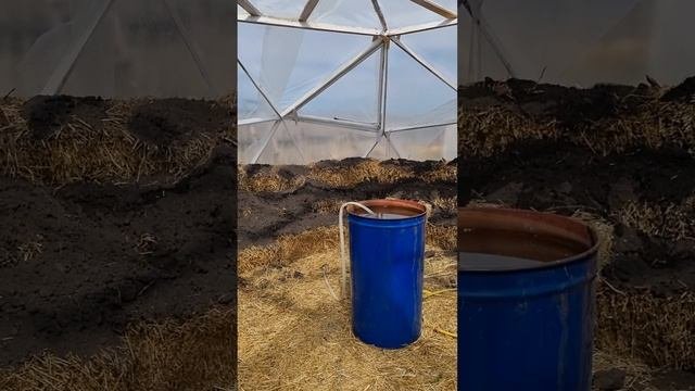 Купольная теплица