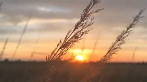 Мифы и легенды о Якутском ЧУЧУНЕ