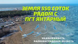 Земельный участок 550 соток | Недвижимость Калининградская область.mp4